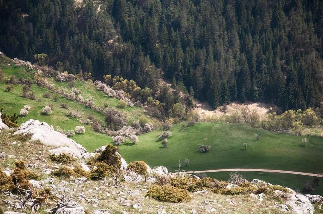 Вила Здравец Yagodina Exterior photo